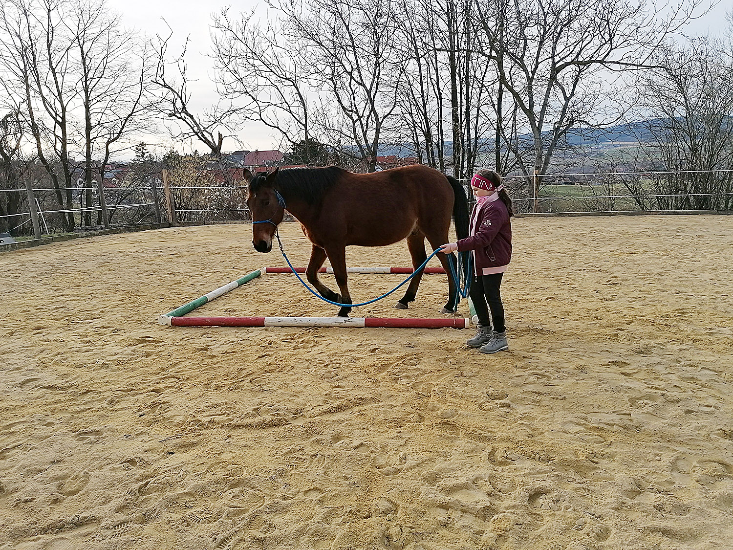 Spiele Auf Dem Pferd