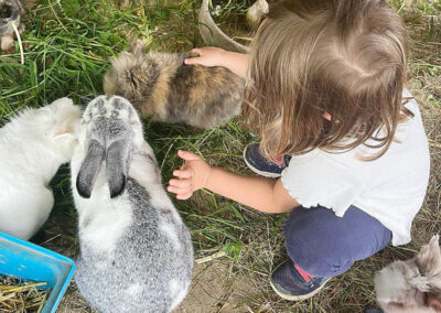 Kaninchen, Moderbacher