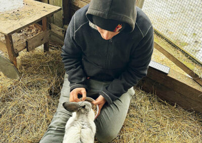 Kaninchen, Moderbacher