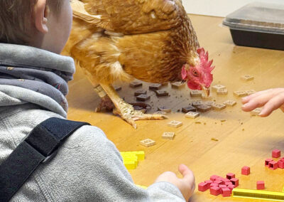 Legasthenie Training, Moderbacher